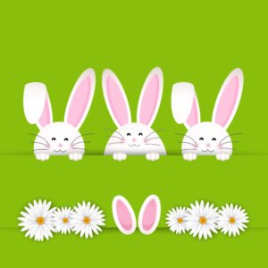 Easter bunny background with daisies