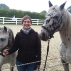 Pferde-Coaching in Heemsen